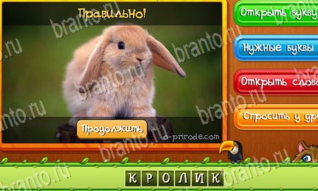 решебник на игру Угадай животных Уровень 72