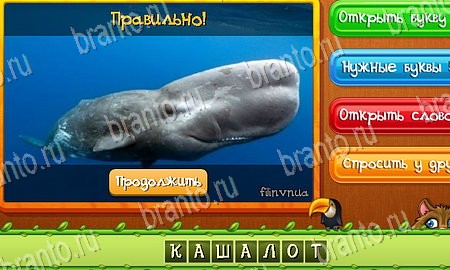 ответы на игру Угадай животных в одноклассниках Уровень 76