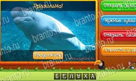 ответы на игру Угадай животных в одноклассниках Уровень 77