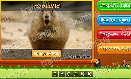 Подсказки на игру Угадай животных Эпизод 4 Уровень 78
