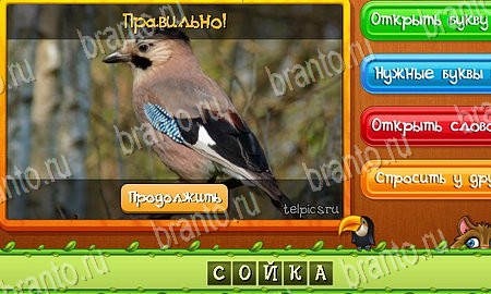 Решения на игру Угадай животных Эпизод 4 Уровень 79