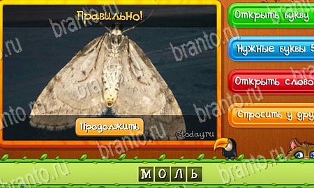 ответы к игре Угадай животных в контакте Уровень 81