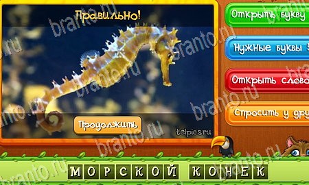 ответы на игру в одноклассниках Угадай животных Уровень 82