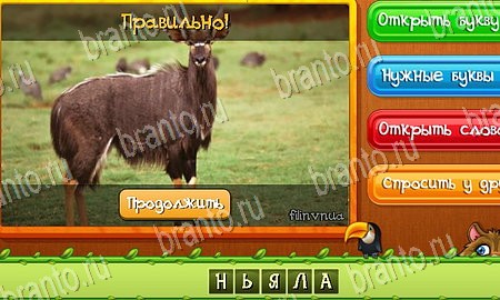 Одноклассники Угадай животных ответы Уровень 84