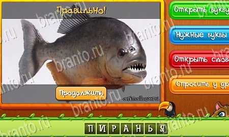 Угадай животных подсказки в контакте Уровень 85