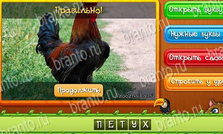 решебник на игру Угадай животных Уровень 87