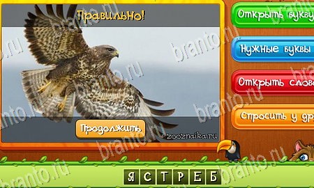 Угадай животных решения на игру из одноклассников Уровень 88