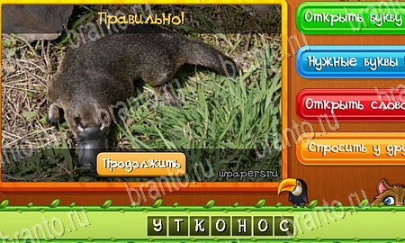 Угадай животных игра ответы на все задания Уровень 89