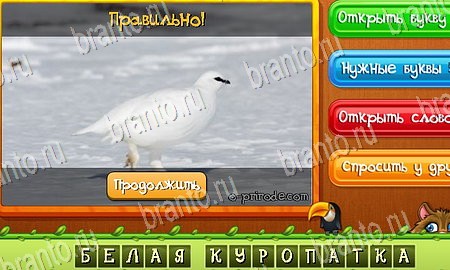 Угадай животных игра в контакте подсказки Уровень 90