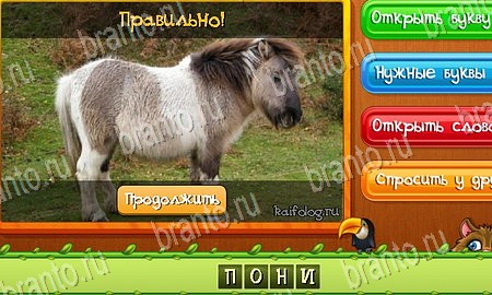 Угадай животных игра в одноклассниках помощь Уровень 91