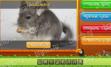 Угадай животных ответы в картинках в контакте Уровень 92