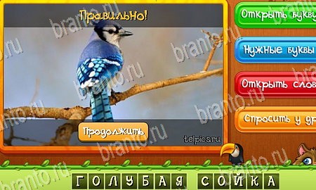 Игра Угадай животных ответы одноклассники, вк Уровень 93