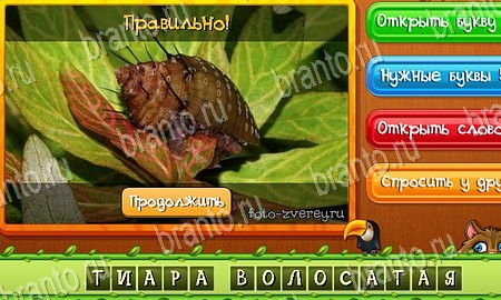 Игра Угадай животных подсказки вк Уровень 94