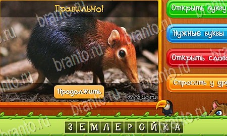 игра Угадай животных помощь одноклассники Уровень 95