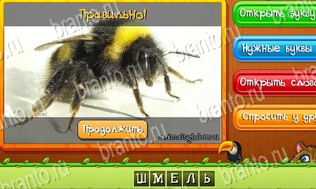 игра Угадай животных ответы в одноклассниках на Уровень 96