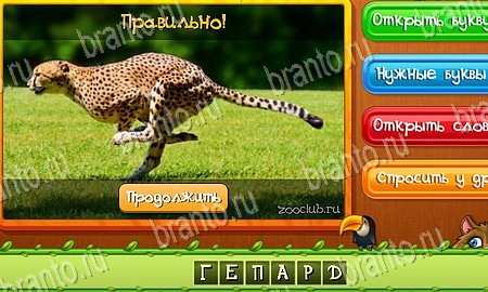 решебник на игру Угадай животных Уровень 97