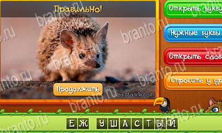Угадай животных игра из одноклассников решения Уровень 98