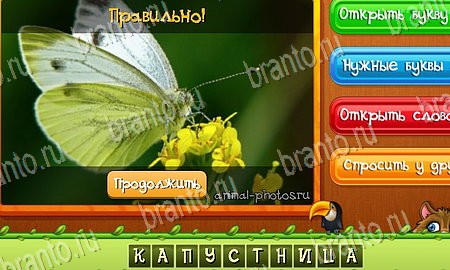 Угадай животных игра ответы ВК Уровень 99
