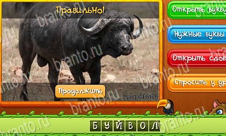 ответы на игру Угадай животных в одноклассниках Уровень 101