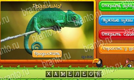 ответы на игру Угадай животных в одноклассниках Уровень 102