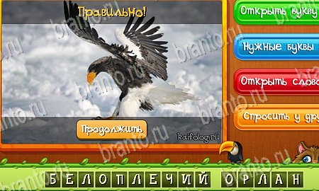 Подсказки на игру Угадай животных Эпизод 5 Уровень 103