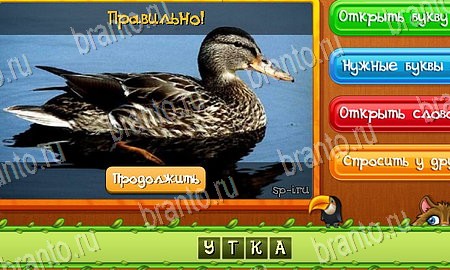 Помощь на игру ВК Угадай животных Уровень 105