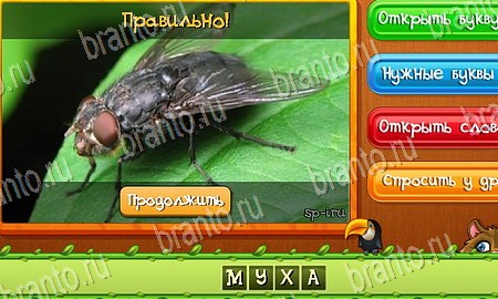 Угадай животных игра ответы в одноклассниках Уровень 108