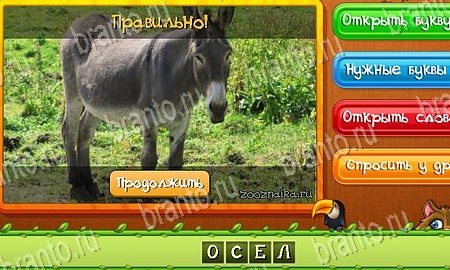 Одноклассники Угадай животных ответы Уровень 109