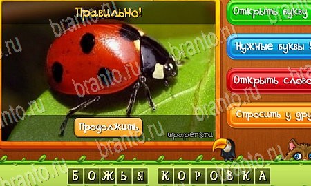 Угадай животных подсказки в контакте Уровень 110