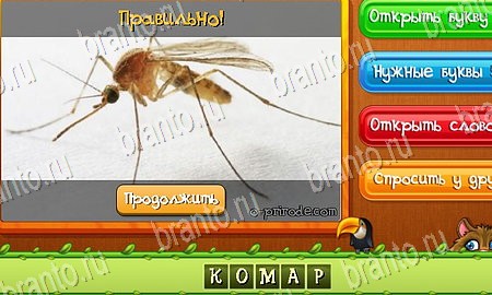 Угадай животных решения на игру из одноклассников Уровень 113