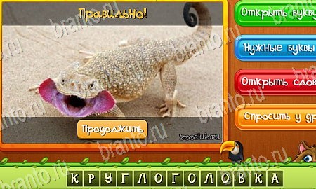 Угадай животных игра в контакте подсказки Уровень 115