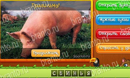 Угадай животных ответы в картинках в контакте Уровень 117