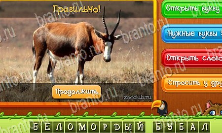 Игра Угадай животных ответы одноклассники, вк Уровень 118