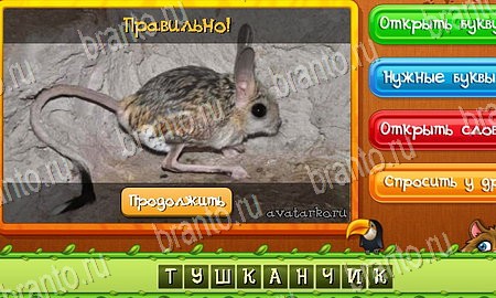 Игра Угадай животных подсказки вк Уровень 119