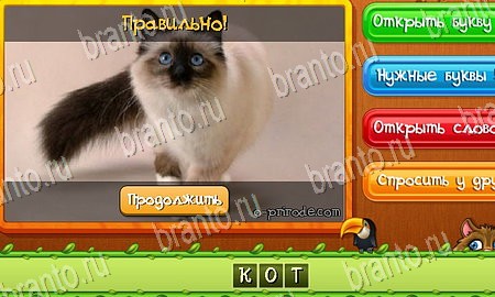 игра Угадай животных помощь одноклассники Уровень 120