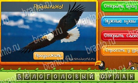 ответы на игру в одноклассниках Угадай животных Уровень 132