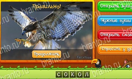 Угадай животных игра ответы в одноклассниках Уровень 133