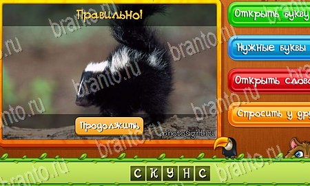 Одноклассники Угадай животных ответы Уровень 134