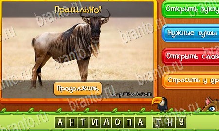 Угадай животных подсказки в контакте Уровень 135