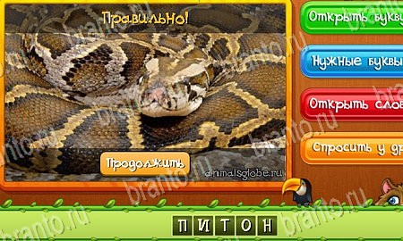 Угадай животных решения на игру из одноклассников Уровень 138