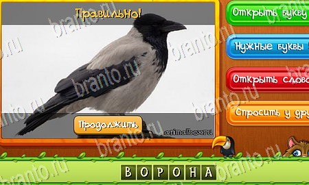 Угадай животных игра ответы на все задания Уровень 139