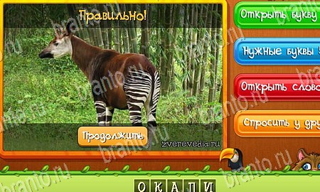 Угадай животных игра в контакте подсказки Уровень 140