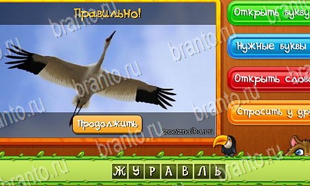Угадай животных игра в одноклассниках помощь Уровень 141