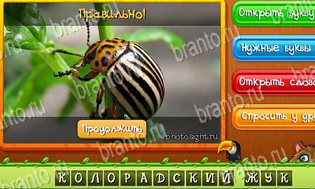 Угадай животных ответы в картинках в контакте Уровень 142