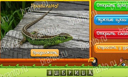 Игра Угадай животных подсказки вк Уровень 144