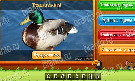 игра Угадай животных ответы в одноклассниках на Уровень 146