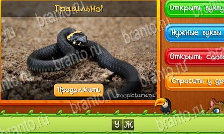 решебник на игру Угадай животных Уровень 147