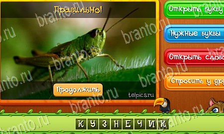 Угадай животных игра из одноклассников решения Уровень 148