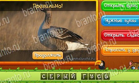 Угадай животных игра ответы ВК Уровень 149