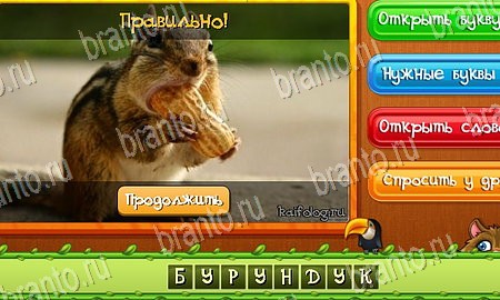 Угадай животных игра вконтакте подсказки Уровень 150